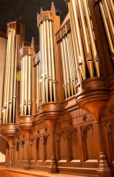 Gothic Organ Case