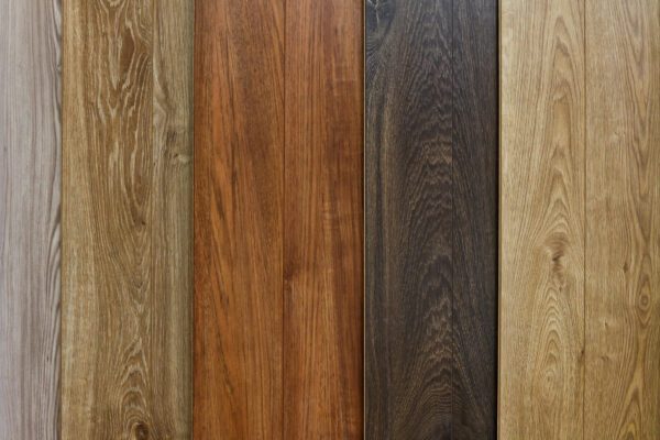 Planks of various types of wood species.